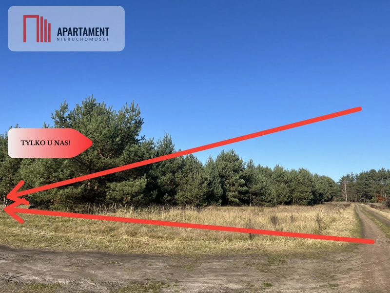 Działka pod lasem w spokojnej okolicy - dd_18eeaa1f_zs_840978_1.jpg