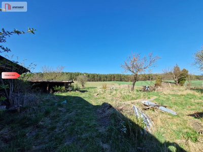 Siedlisko w Odrach z działką 12800 m2. Nowa cena - 2
