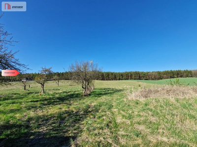 Siedlisko w Odrach z działką 12800 m2. Nowa cena - 4