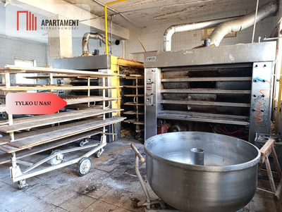 Dom z Lokalem  i Halą produkcyjną, 2 garaże, Iława - 5
