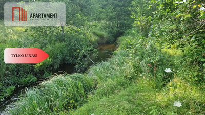 Wyjątkowa działka nad rzeką – Dębnica Kaszubska | - 3