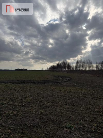 Działki budowlane w Chocianowcu, MPZP - 4