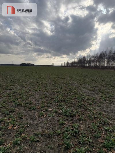 Działki budowlane w Chocianowcu, MPZP - 3