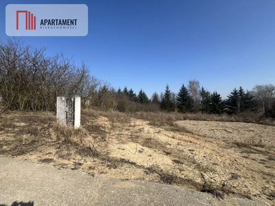 Urokliwa,na uboczu działka Dobino, media,warunki. - 4