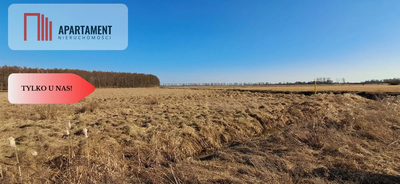 Działki budowlane - Kruszyn Krajeński