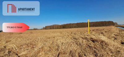 Działki budowlane - Kruszyn Krajeński - 5