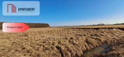 Działki budowlane - Kruszyn Krajeński - 2