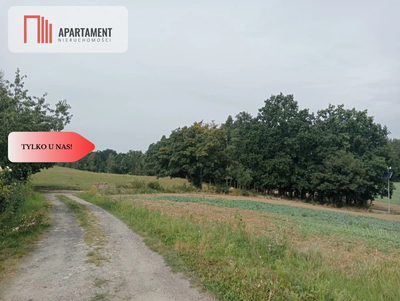 Tczew-Śliwiny z Warunkami Zabudowy