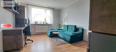 Duże słoneczne mieszkanie, pierwsze piętro - 3