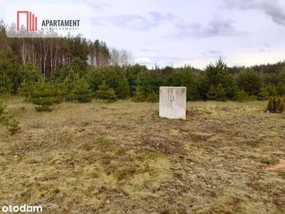 Działka z potencjałem inwestycyjnym na Kaszubach - 3