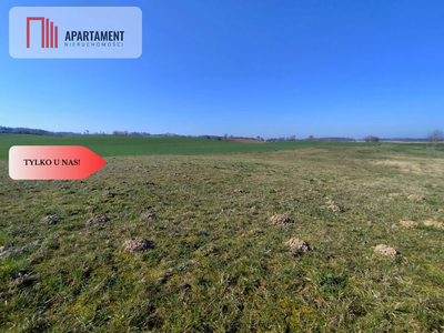 Działki budowlane w Jastrzębcu! - 3