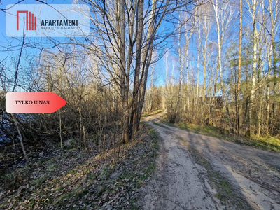 Działka siedliskowa 2 ha w Skorzewie - 5
