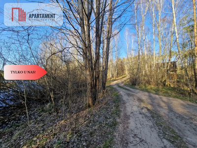 Działka siedliskowa 2 ha w Skorzewie - 3