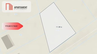 4 Km od Trzebnicy! Spokojna i bezpieczna okolica! - 4