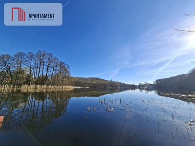 Dom Przywidz – cisza, natura i biznes w jednym mie - 4