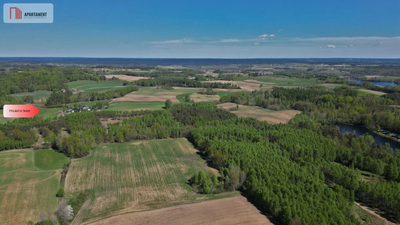 3 ha las, staw | Wydane warunki zabudowy - 4