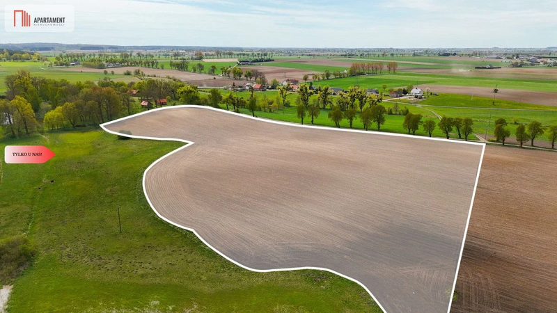 Działka rolna 1,98 ha - Tylko u nas - dd_18eeaa1f_zs_935038_1.jpg