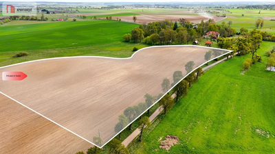 Działka rolna 1,98 ha - Tylko u nas - 4