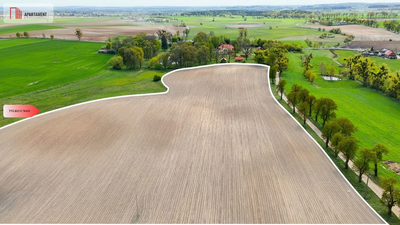 Działka rolna 1,98 ha - Tylko u nas - 3