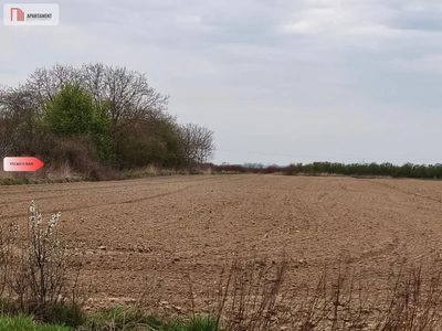 duża działka rolna przy A8 - 4
