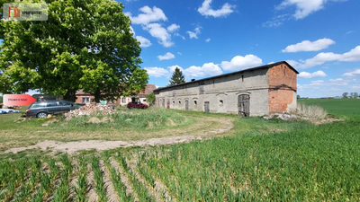 Dom, stodoła, siedlisko - rezerwacja - 5