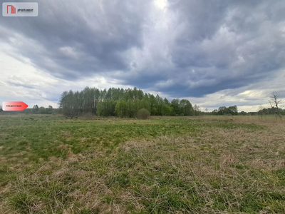 Działka 1,33 ha Nad rzeką WIERZYCA-LIPY-STRUGA!