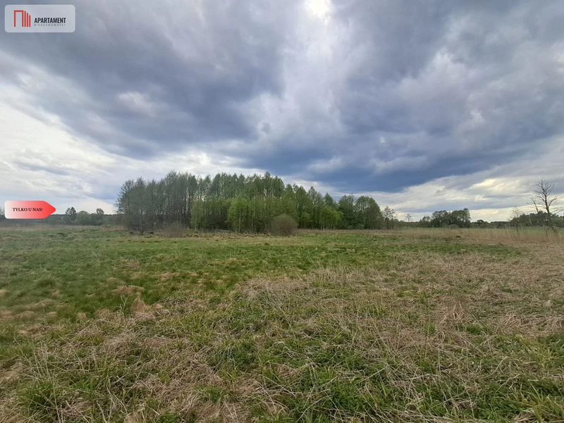 Działka 1,33 ha Nad rzeką WIERZYCA-LIPY-STRUGA! - dd_18eeaa1f_zs_387955_1.jpg