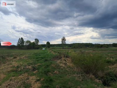 Działka 1,33 ha Nad rzeką WIERZYCA-LIPY-STRUGA! - 4