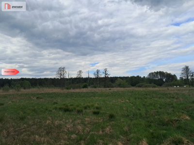 Działka 1,33 ha Nad rzeką WIERZYCA-LIPY-STRUGA! - 3