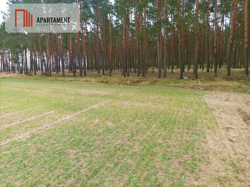 Piękna spokojna okolica ze ścianą lasu!!! - dd_18eeaa1f_zs_446930_1.jpg