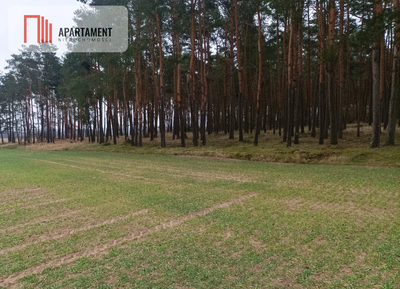Piękna spokojna okolica ze ścianą lasu!!! - 2