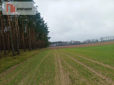 Piękna spokojna okolica ze ścianą lasu!!! - 4