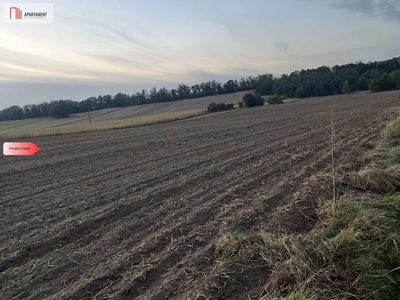 Działki z WZ - Zielonczyn - 4