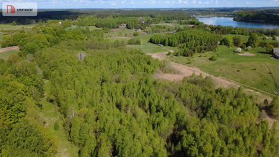 Działka 8000 m² na Kaszubach - Niedamowo