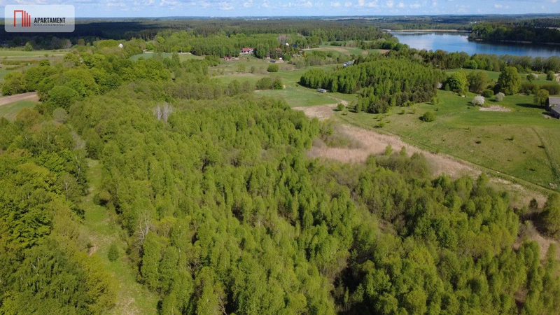 Działka 8000 m² na Kaszubach - Niedamowo - dd_18eeaa1f_zs_320625_1.jpg