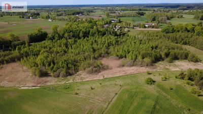 Działka 8000 m² na Kaszubach - Niedamowo - 2