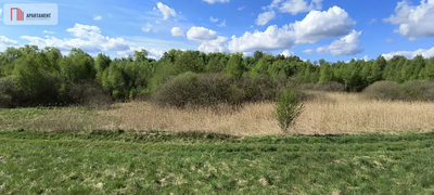 Działka 8000 m² na Kaszubach - Niedamowo - 3
