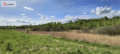 Działka 8000 m² na Kaszubach - Niedamowo - 5