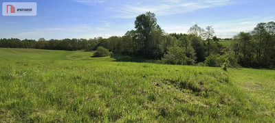 Działka na Kaszubach z widokiem na jezioro - 3