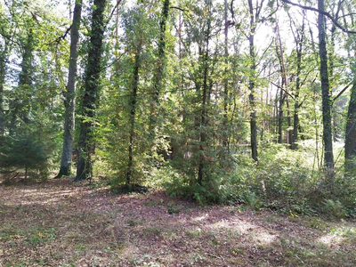 Zamieszkaj w niezwykłym miejscu - Sokolniki Las