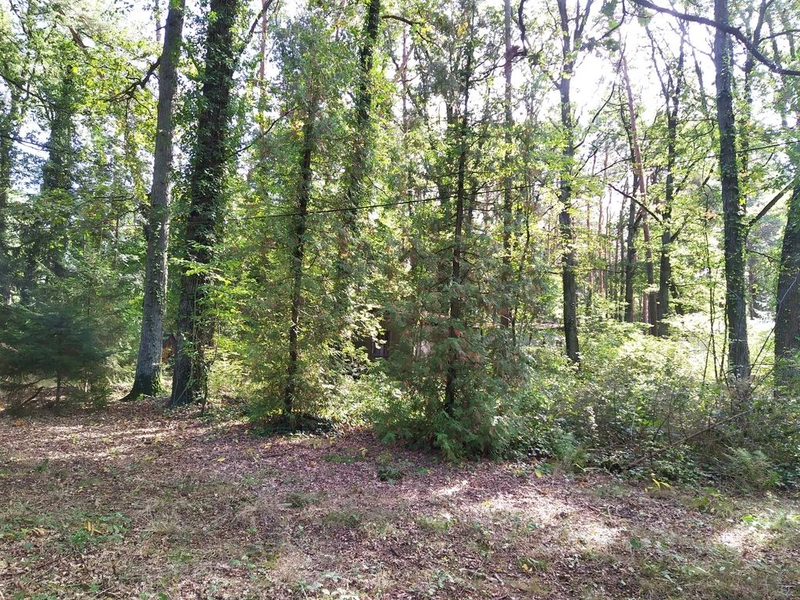 Zamieszkaj w niezwykłym miejscu - Sokolniki Las - 101304771.jpg