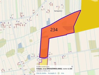 Działka rolna - Brzozówka, gmina Cielądz - 2