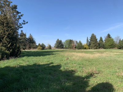 Działka 3856 m² z WZ - idealna pod inwestycję