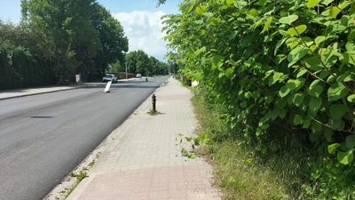 Działka budowlana – centrum, 2606 m²