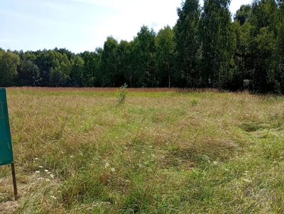 Działka na odludziu? Tak, i to konkretna! - 2