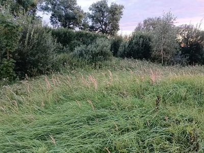 Twój wymarzony kawałek natury w Kłodowie - 1800 m² - 3