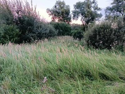 Twój wymarzony kawałek natury w Kłodowie - 1800 m² - 5