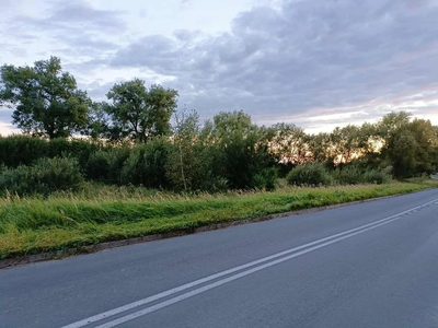 Twój wymarzony kawałek natury w Kłodowie - 1800 m² - 4