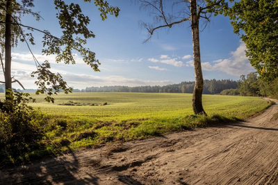 Obudź się nad jeziorem – działki na sprzedaż