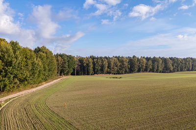 Obudź się nad jeziorem – działki na sprzedaż - 4
